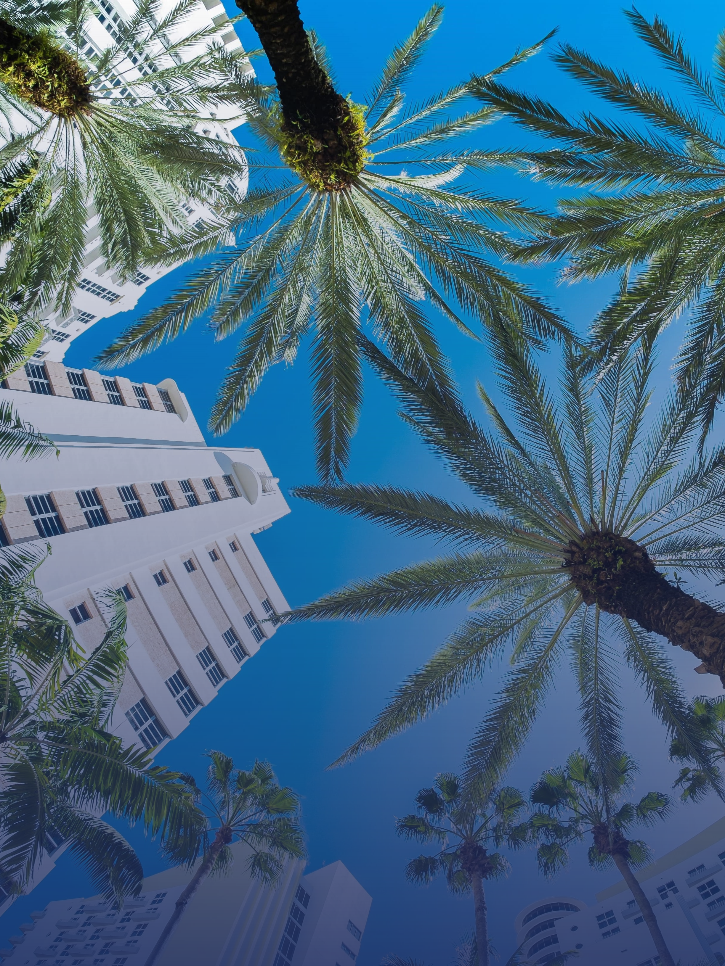 florida employment attorney